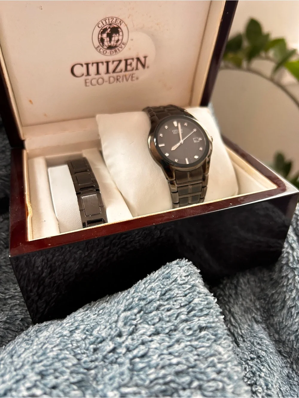 Citizen Eco-Drive Black Diamond Dial Watch